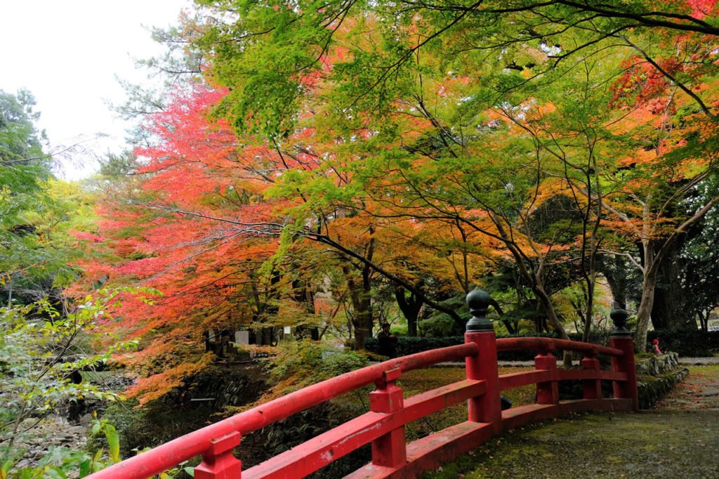 🏯 다이네이지 사찰(다이네이지) 이미지 12